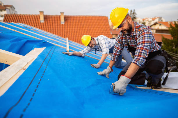 Best Roof Maintenance and Cleaning  in Grizzly Flats, CA